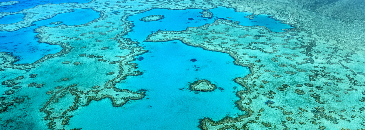 Great Barrier Reef Cruises + Cairns Tours - Carnival