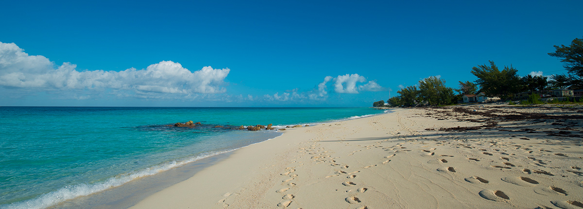 shore excursions bimini carnival