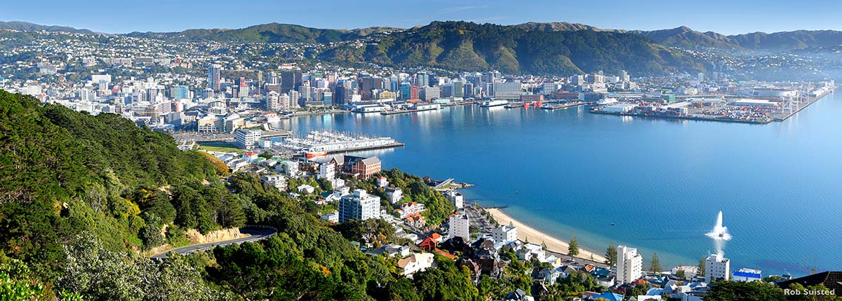 carnival cruises sydney to new zealand