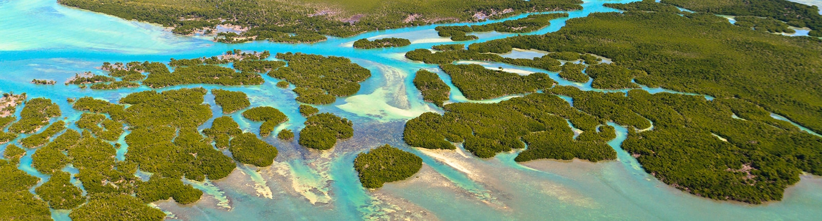 Beautiful aerial  shot of the mangroves of Key West
