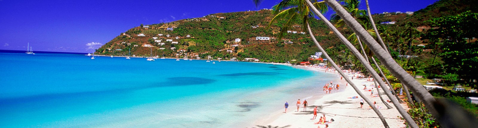 Looking down a Tortola white sand beach through palm trees gently swaying in the wind