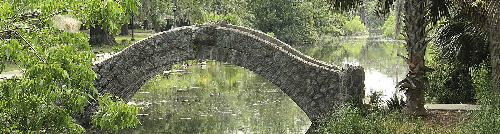 Scenic view of New Orleans city park