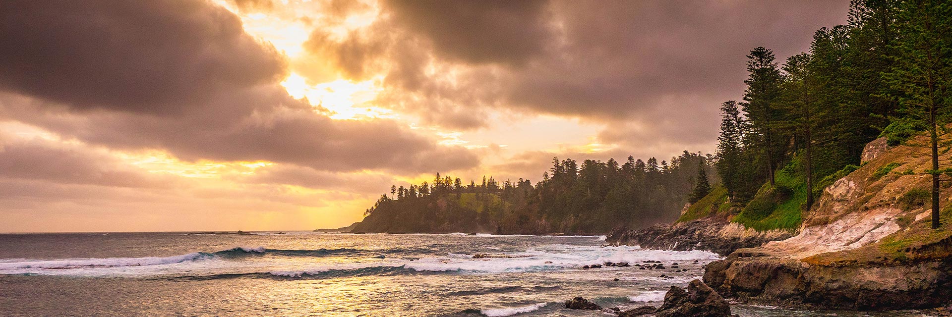 island with trees next to the ocean