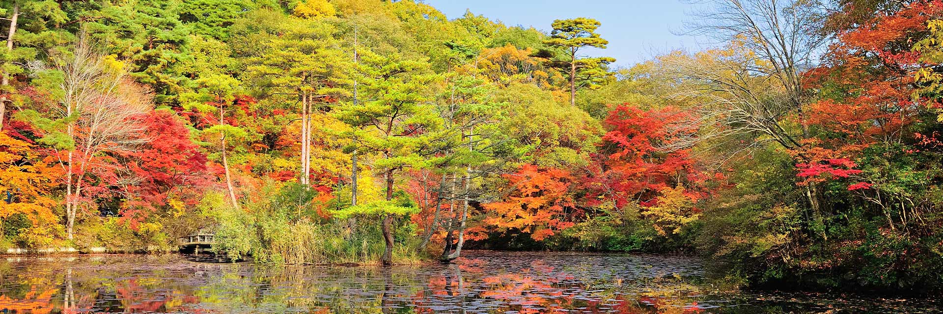 view of the autumn leaves and a pond in kobe japan