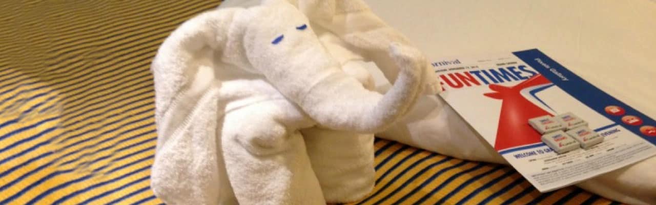 Making Towel Animals And Great Family Memories