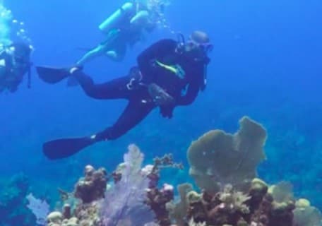 Scuba Diving in Mahogany Bay on Isla Roatan