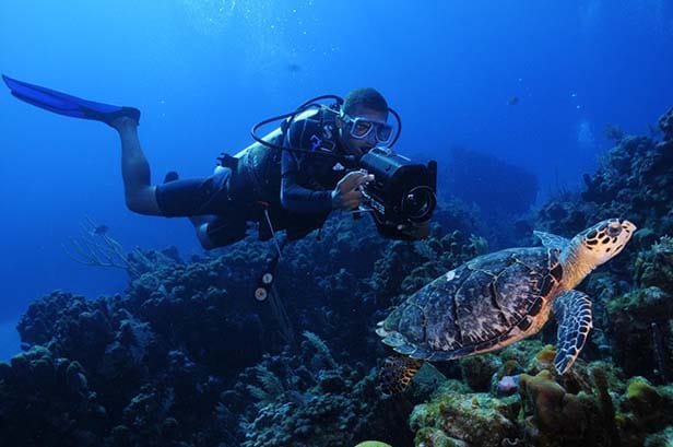 scuba diver next to a turtle