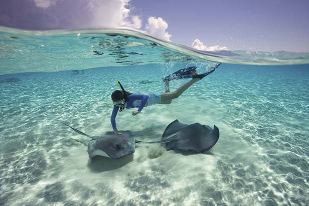 woman snorkeling with two stingrays