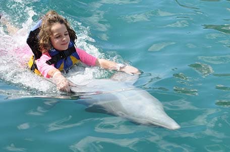 a girl swimming with a dolphin in tortola