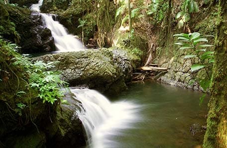 waterfall in the tropical botanical garden of hilo hawaii