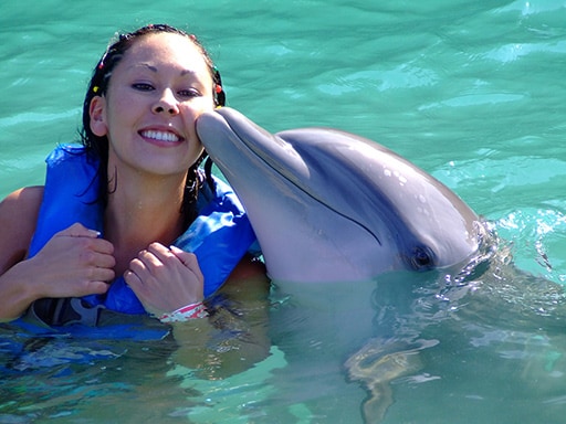 dolphin kissing a woman as she swims in ocean world
