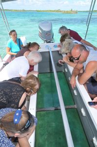 cay bahamas urchins sharks stingrays cruise sea