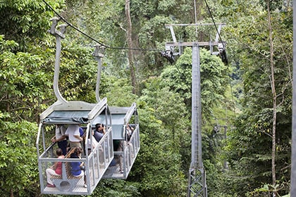 people onboard aerial tram, taking pictures of veragua rainforest