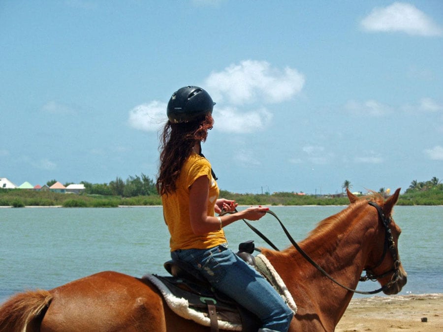 woman rides on horseback along st maarten coast