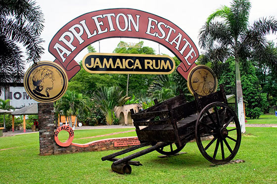 old wooden cart in front of apple estate Jamaica rum sign