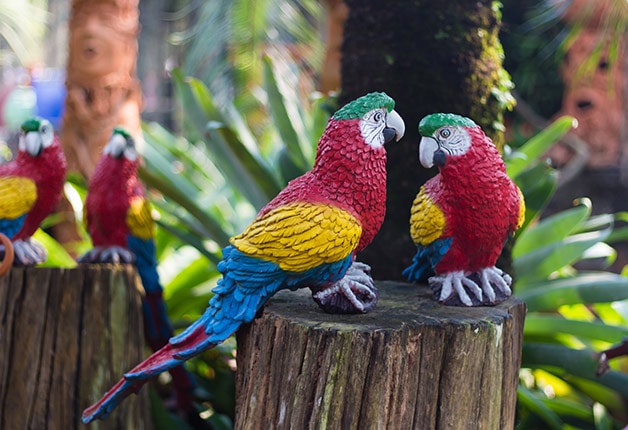 red, yellow and blue parrot sculptures on wooden logs 