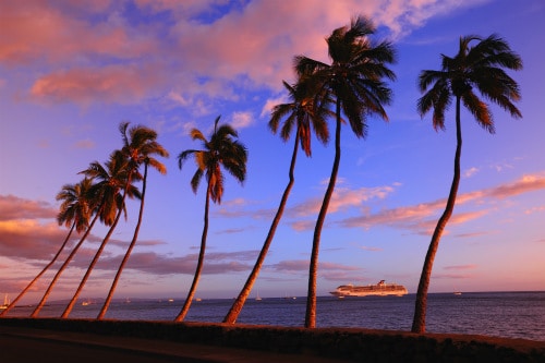 several palm trees overlooking a carnival cruising ship during the sunset in hawaii