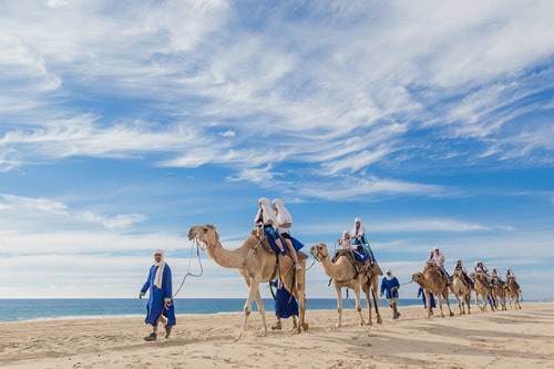 visitors riding a camels along a beach in mexico with the assistance of a guide