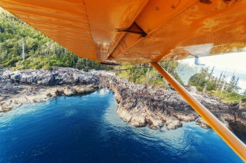 view of the alaskan forest from the inside of a yellow seaplane 