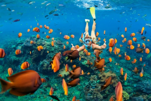 woman giving a thumbs up as she snorkels along a school of orange fish in kona hawaii 