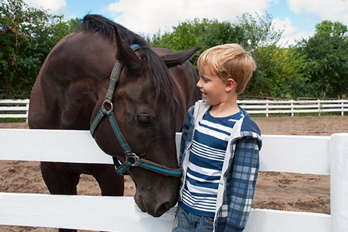 little boy petting a horse in half moon cay 