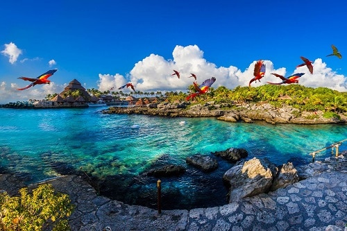 exotic birds flying over beautiful xcaret park