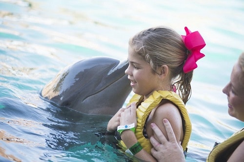 dolphin kissing little girl in cozumel