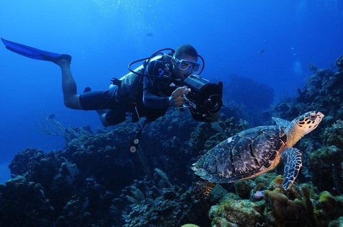 scuba diver taking a picture of a turtle