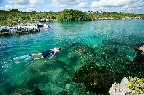 man snorkeling along the mystic mayan river in cozumel, mexico 