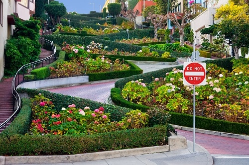 ground view of lombard street in san francisco 