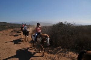 10 Best Mexican Riviera and Baja Shore Excursions | Carnival Cruise Line