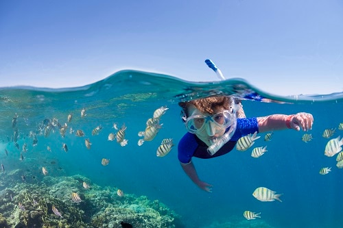 boy snorkeling near a reef in bermuda 