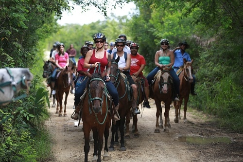 a group of people on a horseback riding trail into a forest