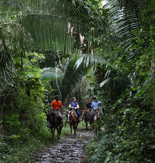 group of people horseback riding along the jungle in belize