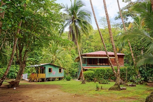 houses in the jungles of limon