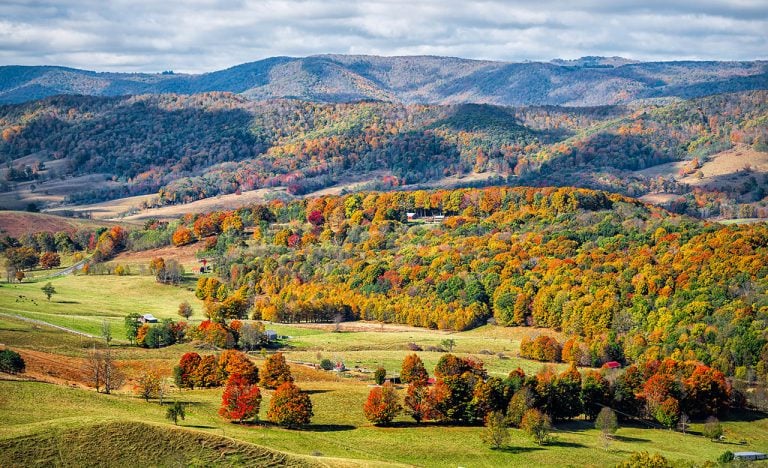 Your Guide to Seeing Fall Foliage