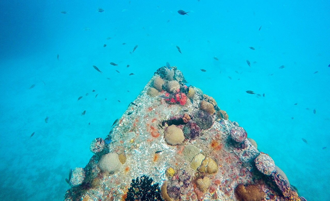 Famous Shipwrecks of the Caribbean