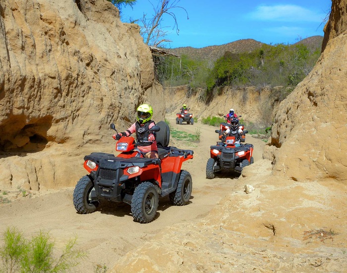 Canyon ATV, Mexican Lunch & Tequilla Tasting - CSL Shore Excursions ...