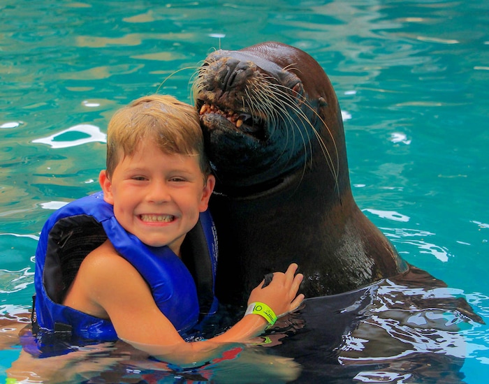 Sea Lions Playtime & Kiss with Buffet Lunch - PVR Shore Excursions ...