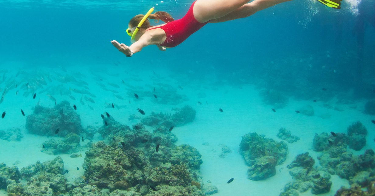 El Cielo Sandbar & Starfish Snorkeling with Lunch - CZM Shore Excursions |  Carnival Cruise Line