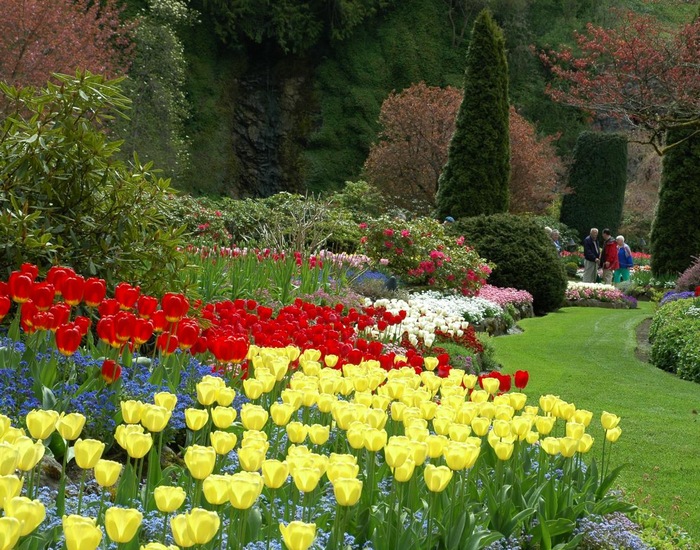 Historic Downtown & Butchart Gardens - YYJ Shore Excursions | Carnival Cruise Line