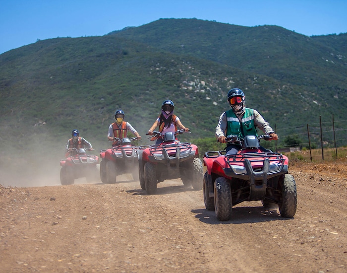 Guadalupe Valley ATV Adventure - ENS Shore Excursions | Carnival Cruise ...