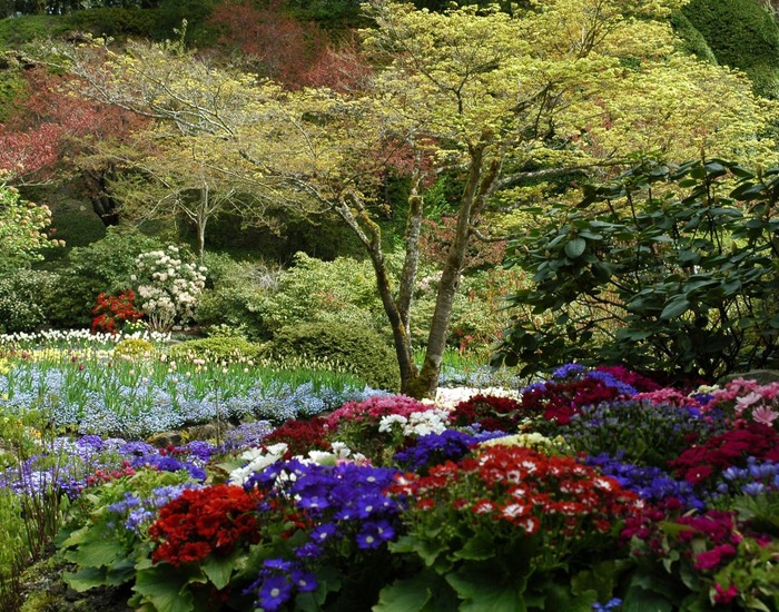 Historic Downtown & Butchart Gardens - YYJ Shore Excursions | Carnival Cruise Line